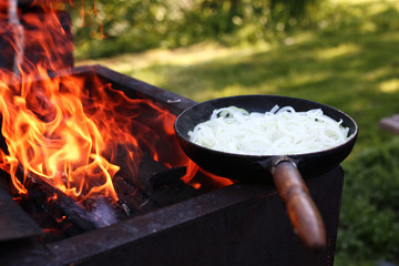 Wall Mural - onion fry on fire outdoors