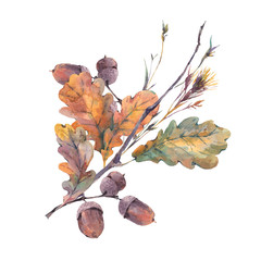 Watercolor autumn vintage bouquet 