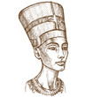 Bust of Nefertiti hand drawn