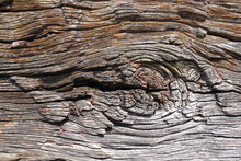 Knot On Old Oak Wood Plank