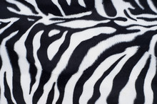 Zebra Texture With Beige White And Black