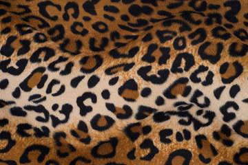 Leopard skin texture for background