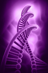 Canvas Print - DNA structure