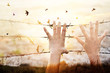 Hands on wire prison and birds flying on sunset sky background