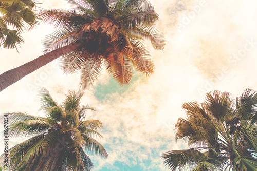 Cuadros en Lienzo Landscape nature background of shore tropic