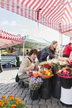Mature Women Buying Flowers At Market Stall