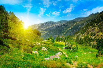 Wall Mural - beautiful sunrise in high mountains