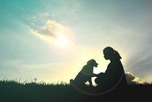 Silhouette Women Playing With Dog