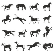 Horse Breeds Silhoettes Black Icons Set 