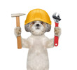 Cute dog builder holding tools in its paws