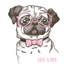 Vector Illustration Of A Hand Drawn Funny Fashionable Pug