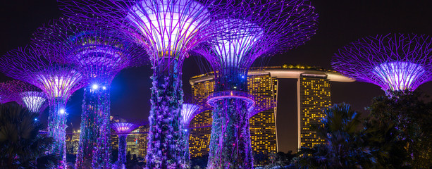 Night view of illuminated Supertree Grove at Gardens by the Bay in Singapore