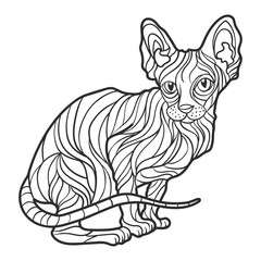 Vector monochrome hand drawn illustration of sphynx cat.