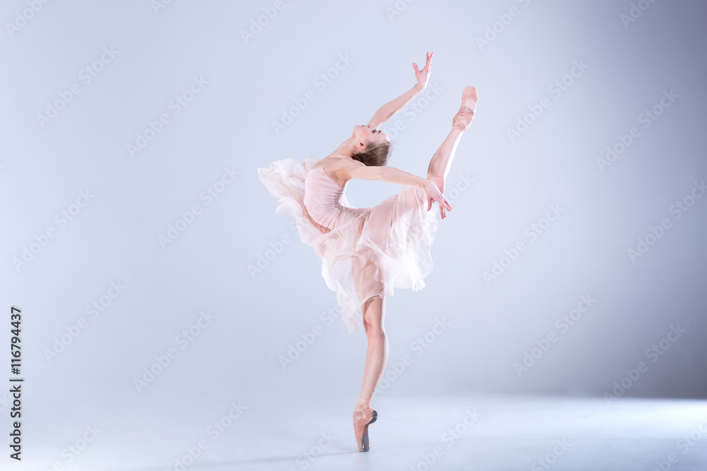 Ballet Perfection. Young and beautiful ballerina in a white dress is posing in a white studio full of light. - obrazy, fototapety, plakaty 