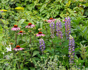 Canvas Print - Flower Border