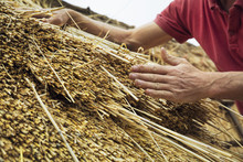 Close Up Of A Man Thatching A Roof, Layering The Straw.