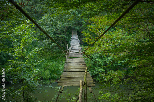 Naklejka most w dżungli   zawieszony-zniszczony-most-w-lesie