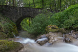 Fototapeta  - Brücke über dem Wasser in der Natur