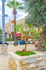 Poster - The flower bed in the street