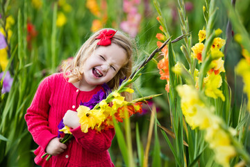 Child picking fresh gladiolus flowers