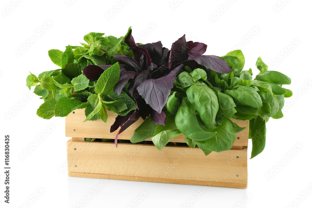 Basil and mint spices in wooden box, isolated on white