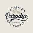 Summer paradise hand written lettering with palms illustration.