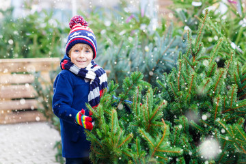 Wall Mural - beautiful smiling little boy holding christmas tree