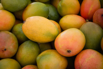 mangoes background - mango fruit