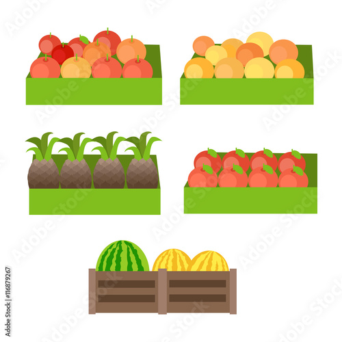 Set of Boxes with Fruits Vector Illustration. Stock Vector Adobe Stock