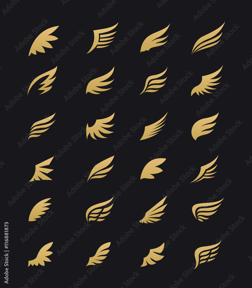 Wing Design Ad Wings. Vector Set of wing design elements. Vector illustration. Design ...