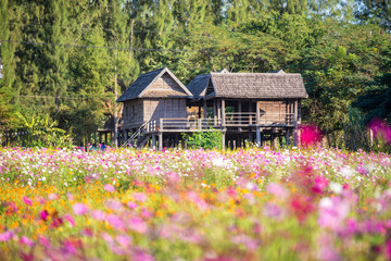 beautiful view of thai house in beautiful blurry garden  in fore