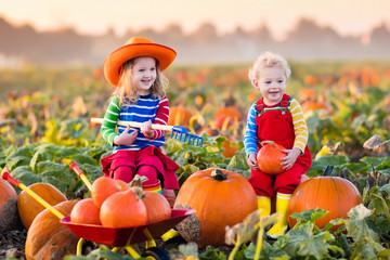kids picking pumpkins on halloween pumpkin patch