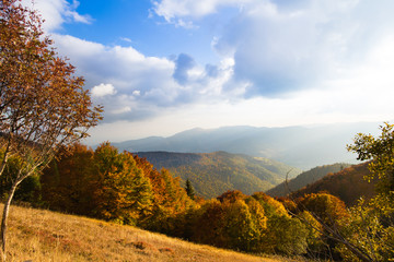 Scenic view of Alsace hills