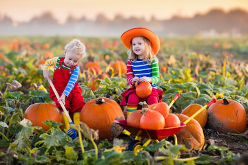 kids picking pumpkins on halloween pumpkin patch