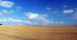 © rdaniluk - Panorama of summer field