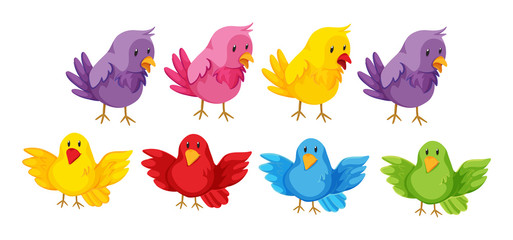 Wall Mural - set of birds with colorful feather