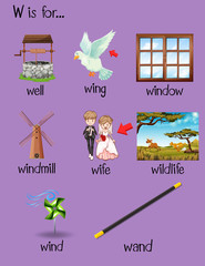 Poster - Different words begin with letter W