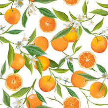 Seamless Pattern. Orange Fruits Background. Floral Pattern