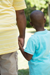 Wall Mural - Rear view of father and son holding hands.