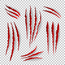 Realistic Claw Scratches. Vector Set On Plaid Background