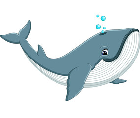 illustration of cute whale cartoon