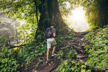 man hiking in tropical jungle