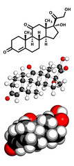 Wall Mural - Cortisone stress hormone molecule.