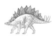 picture stegosaurus, drawn with ink