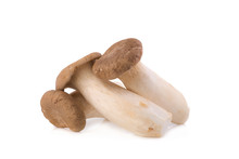 King Oyster Mushroom (Eringi) On White Backgroud