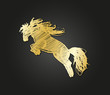 horse gold design