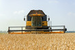 © sergbob - Combine harvests wheat on a field in sunny summer day