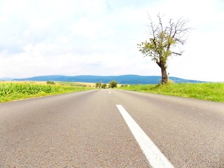 Asphalt road between fields