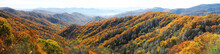 Autumn Mountain And Colorful Forest