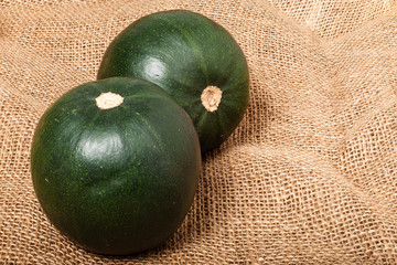 Gem Squash on Hessian